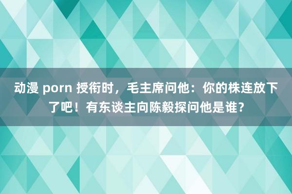 动漫 porn 授衔时，毛主席问他：你的株连放下了吧！有东谈主向陈毅探问他是谁？