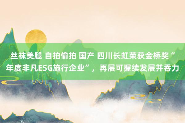 丝袜美腿 自拍偷拍 国产 四川长虹荣获金桥奖“年度非凡ESG施行企业”，再展可握续发展并吞力