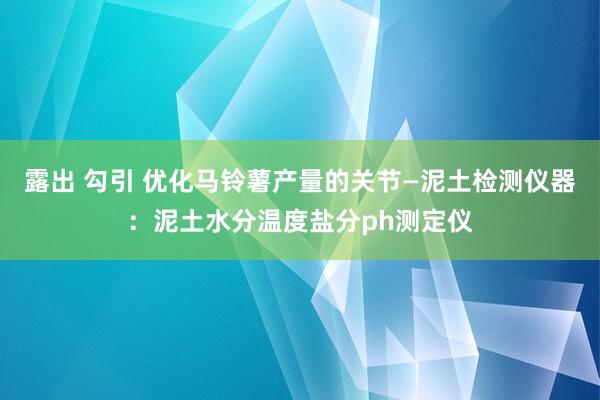 露出 勾引 优化马铃薯产量的关节—泥土检测仪器：泥土水分温度盐分ph测定仪