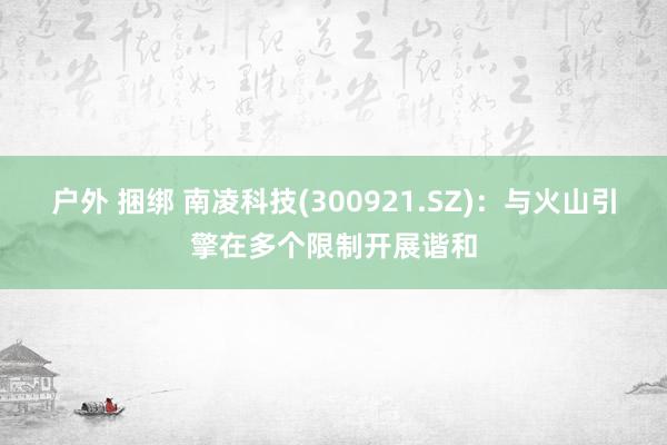 户外 捆绑 南凌科技(300921.SZ)：与火山引擎在多个限制开展谐和