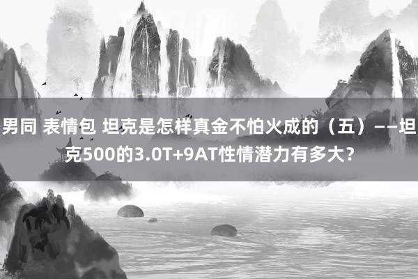 男同 表情包 坦克是怎样真金不怕火成的（五）——坦克500的3.0T+9AT性情潜力有多大？