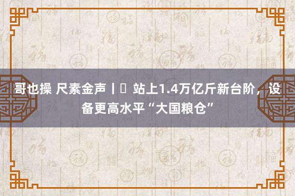 哥也操 尺素金声丨​站上1.4万亿斤新台阶，设备更高水平“大国粮仓”