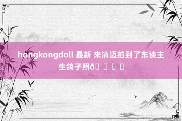 hongkongdoll 最新 来清迈拍到了东谈主生鸽子照🕊️