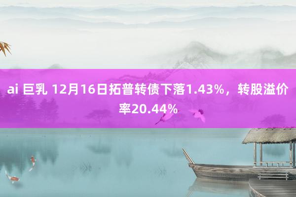 ai 巨乳 12月16日拓普转债下落1.43%，转股溢价率20.44%