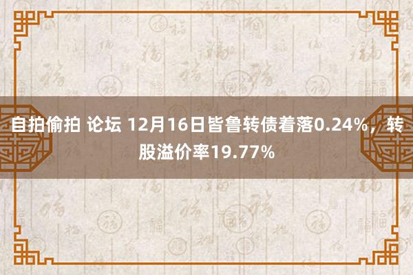 自拍偷拍 论坛 12月16日皆鲁转债着落0.24%，转股溢价率19.77%