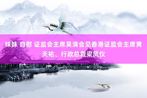 妹妹 自慰 证监会主席吴清会见香港证监会主席黄天祐、行政总裁梁凤仪