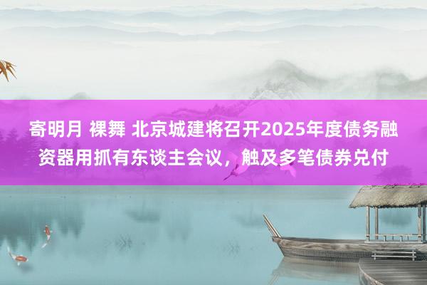 寄明月 裸舞 北京城建将召开2025年度债务融资器用抓有东谈主会议，触及多笔债券兑付