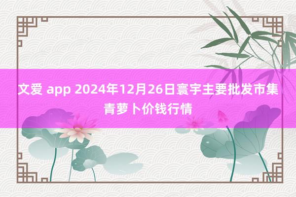 文爱 app 2024年12月26日寰宇主要批发市集青萝卜价钱行情