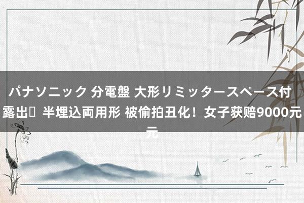 パナソニック 分電盤 大形リミッタースペース付 露出・半埋込両用形 被偷拍丑化！女子获赔9000元