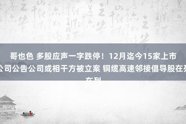 哥也色 多股应声一字跌停！12月迄今15家上市公司公告公司或相干方被立案 铜缆高速邻接倡导股在列