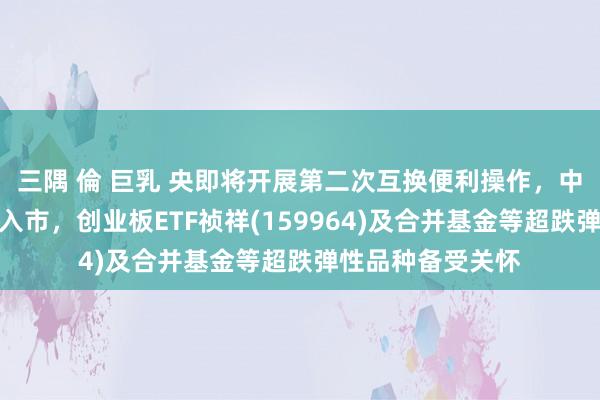 三隅 倫 巨乳 央即将开展第二次互换便利操作，中期增量资金不竭入市，创业板ETF祯祥(159964)及合并基金等超跌弹性品种备受关怀