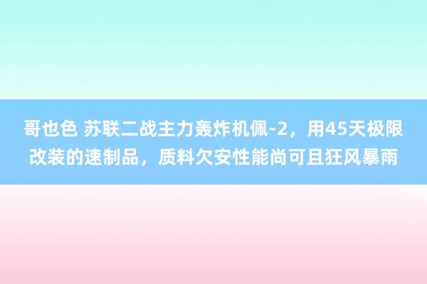 哥也色 苏联二战主力轰炸机佩-2，用45天极限改装的速制品，质料欠安性能尚可且狂风暴雨