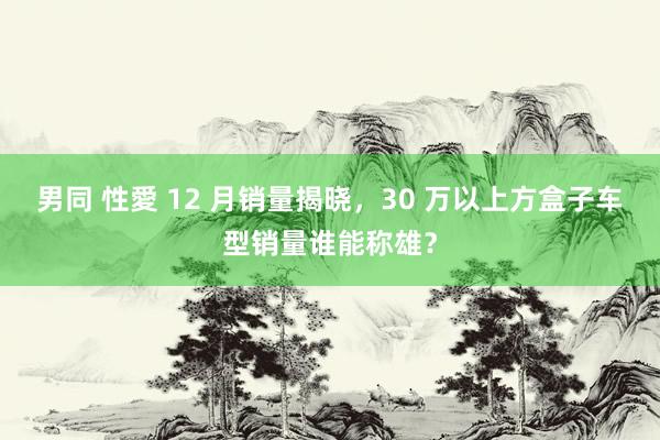 男同 性愛 12 月销量揭晓，30 万以上方盒子车型销量谁能称雄？