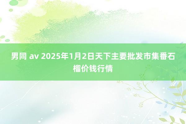 男同 av 2025年1月2日天下主要批发市集番石榴价钱行情