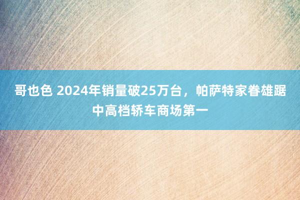 哥也色 2024年销量破25万台，帕萨特家眷雄踞中高档轿车商场第一