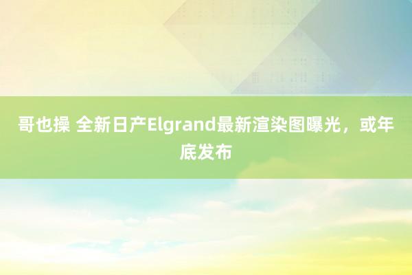 哥也操 全新日产Elgrand最新渲染图曝光，或年底发布