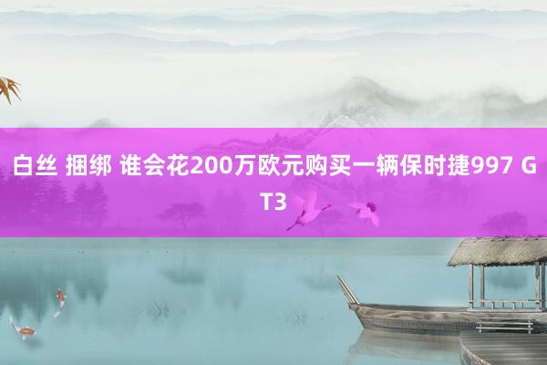 白丝 捆绑 谁会花200万欧元购买一辆保时捷997 GT3