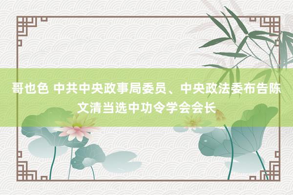 哥也色 中共中央政事局委员、中央政法委布告陈文清当选中功令学会会长