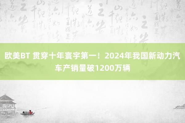 欧美BT 贯穿十年寰宇第一！2024年我国新动力汽车产销量破1200万辆