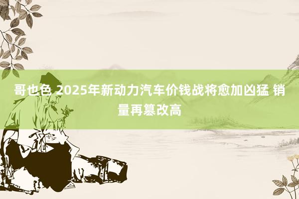 哥也色 2025年新动力汽车价钱战将愈加凶猛 销量再篡改高