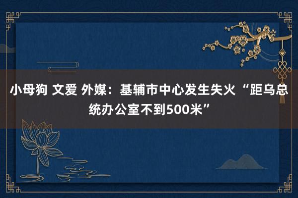 小母狗 文爱 外媒：基辅市中心发生失火 “距乌总统办公室不到500米”