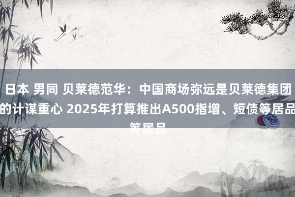 日本 男同 贝莱德范华：中国商场弥远是贝莱德集团的计谋重心 2025年打算推出A500指增、短债等居品