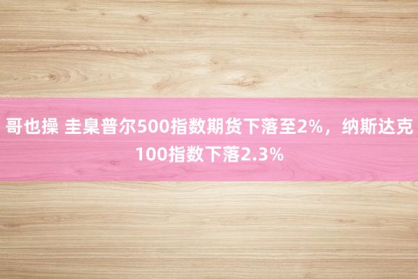 哥也操 圭臬普尔500指数期货下落至2%，纳斯达克100指数下落2.3%